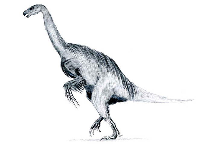 An artist's rendition of Erlikosaurus, depicted with feathers (Arthur Weasley)