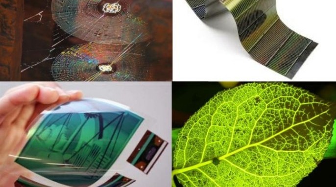 Spider webs and leaves serve as models for bendable electronics (Boston College)
