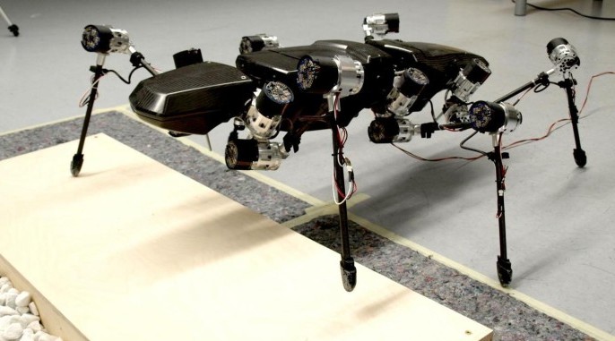 With elastic joints and six legs that function like those of a stick insect, Hector is the only walking robot of its kind. (Bielefeld University)