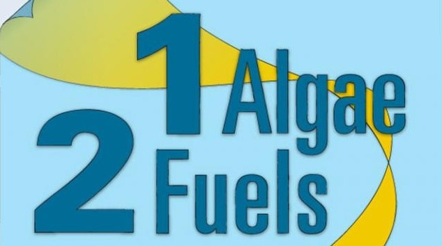 Biofuel: Inforgraphic courtesy of Eric Taylor, Woods Hole Oceanographic Institution