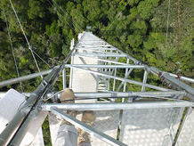 Amazon: Two towers already stand at the ATTO site. These 80 meter high towers have been collecting data on weather conditions, ozone, CO2 volatile organic compounds and nitrogenous trace gases and aerosols since 2011. (Photo courtesy of S. Benner, MPI for Chemistry)