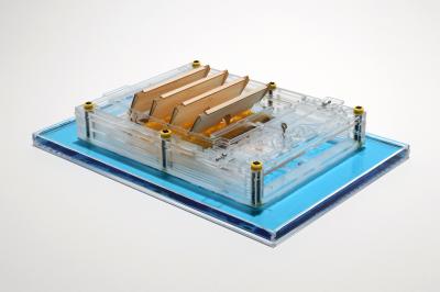 The evaporation engine floats on the surface of water. It creates piston-like back and forth motion as the water evaporates from the surface. The movement of the engine produces electricity when connected to a generator (Photo by Xi Chen, Columbia University)
