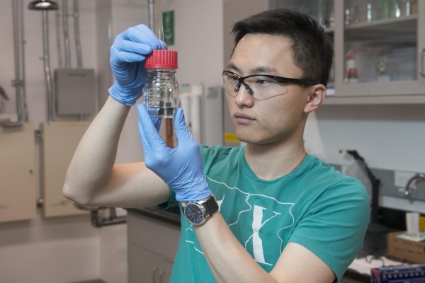 Clean Hydrogen: Stanford graduate student Haotian Wang and colleagues have developed a novel water splitter that produces clean-burning hydrogen from water 24 hours a day, seven days a week. (Photo Courtesy of L.A. Cicero/Stanford News Service)