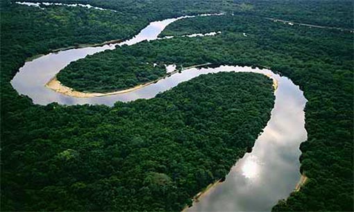 The Amazon Rainforest (Photo courtesy of Ron Gold via Flikr)