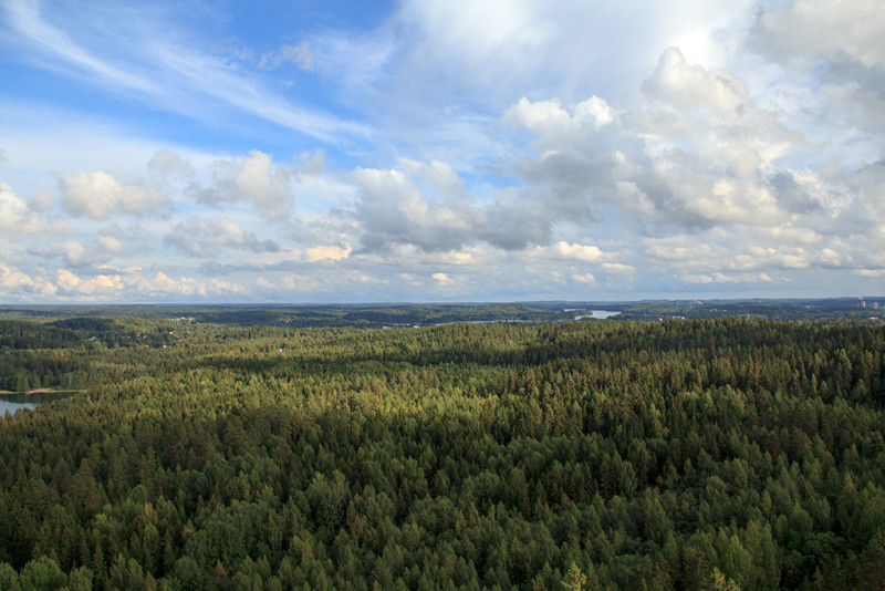 Forests Alone Can’t Stop Climate Change