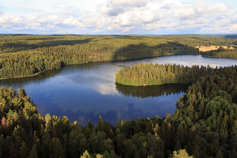 Forests Alone Can’t Stop Climate Change