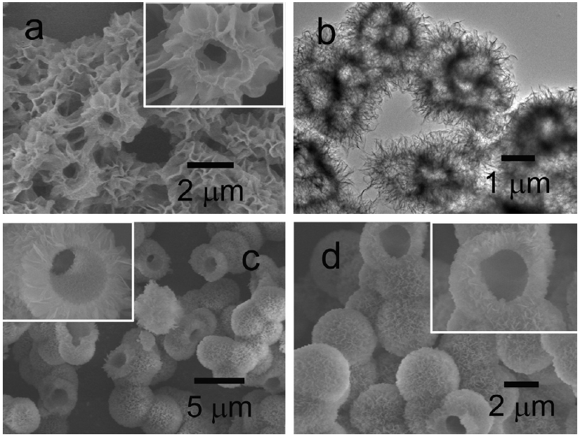 Scanning electron micrographs of aluminum oxide courtesy of Wang X.