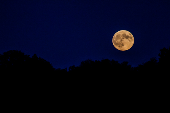 lunar eclipse 1, Max Goldberg