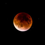 lunar eclipse 1, Max Goldberg