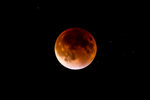 lunar eclipse 1, Max Goldberg