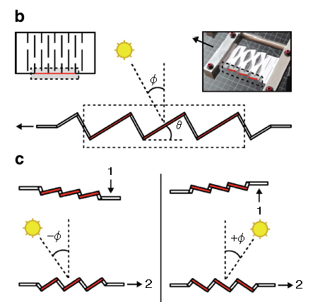 Figure of kirigami design and light absorption courtesy of Lamoureux A et al.