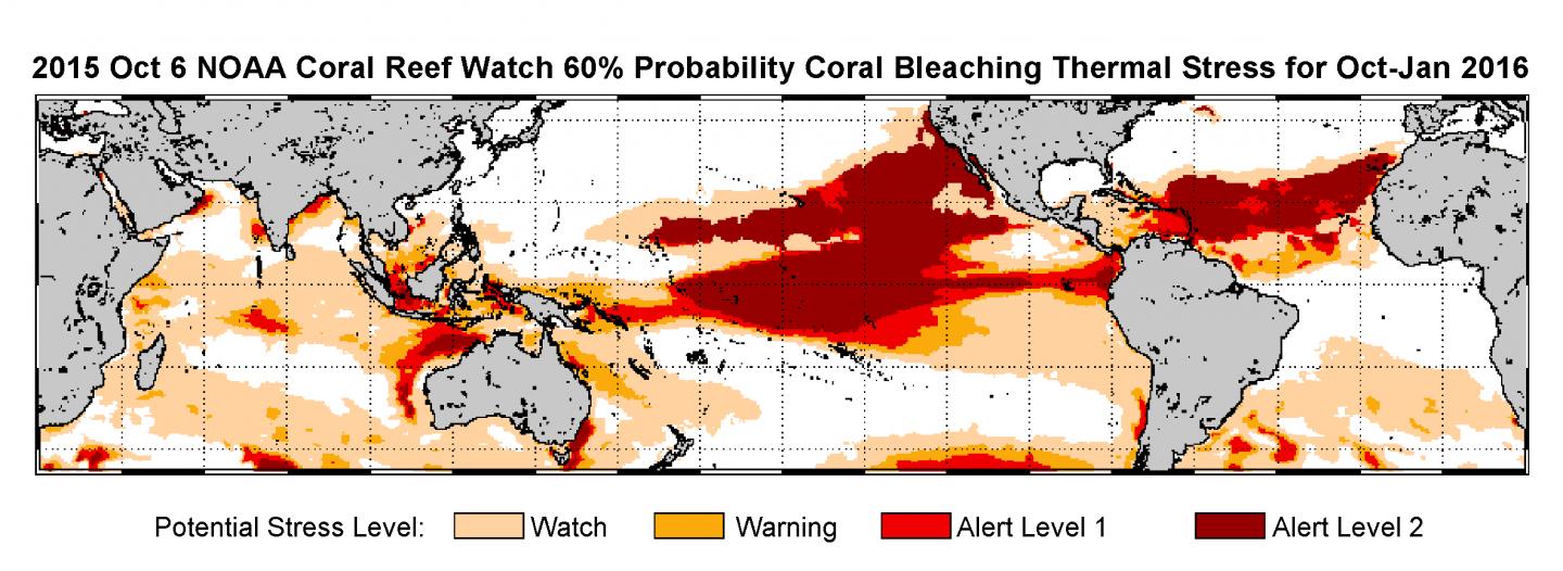 coral bleaching