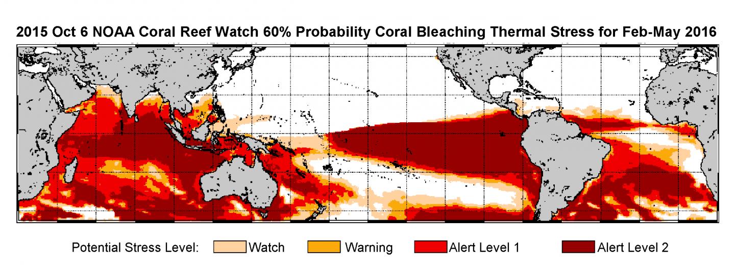 coral bleaching