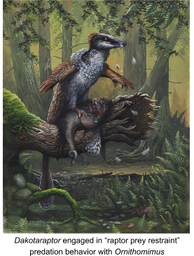 Dakotaraptor