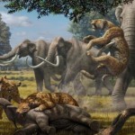 Artist's impression of sabertooth cats hunting mammoths (Mauricio Anton).