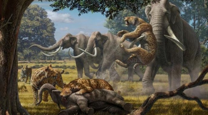 Artist's impression of sabertooth cats hunting mammoths (Mauricio Anton).