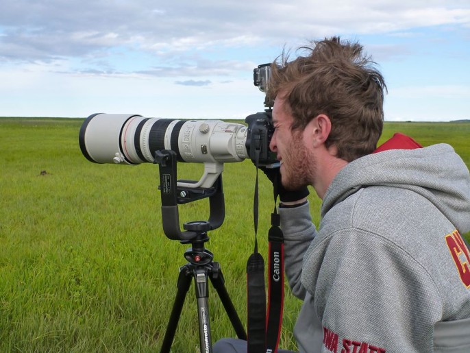 Alaska wildlife photography: behind the scenes