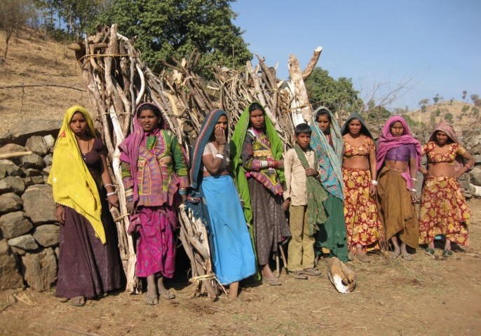 Women in the rural area of Rajasthan, India, collect firewood from a nearby forest and wildlife preserve for daily cooking activities. Courtesy of H.S. Udaykumar and University of Iowa