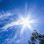 Lens Flare, Steven Spence