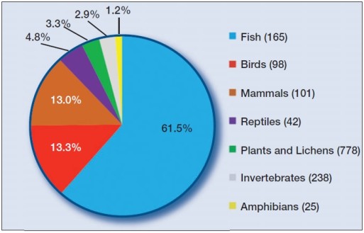 Statistics On Endangered Animals