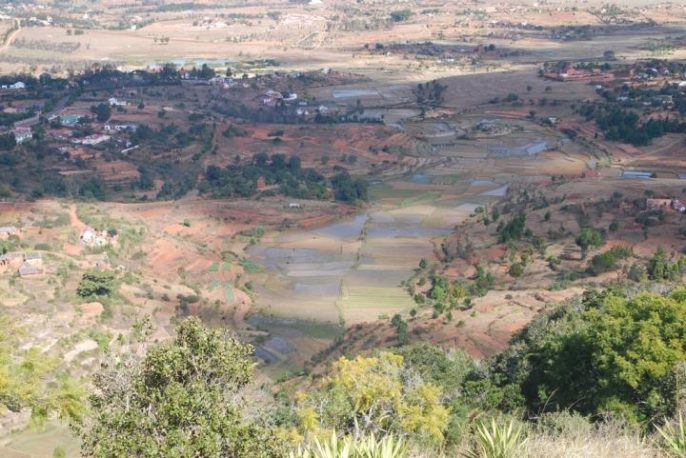 Even today, there are still many rice fields in the highlands of Madagascar. Settlers from Southeast Asia brought the grain to the island more than 1,000 years ago. Mark Horton/University of Bristol