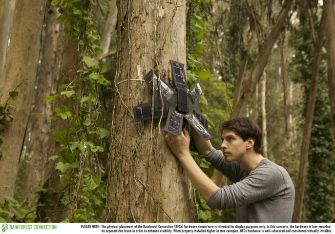 Curbing the Chainsaws: Recycled Smartphones Hunt Down Illegal Loggers