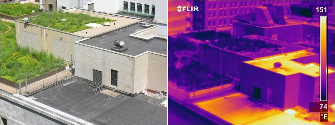 Chicago City Hall (green roof) and Cook County side (conventional roofing). Left image visible light, right image infrared. http://www.chicagoclimateaction.org/filebin/pdf/finalreport/CCAPREPORTFINALv2.pdf