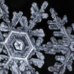 photographing snowflakes