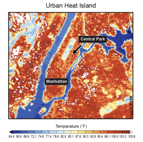 Surface temperatures in New York City on a summer day. Central Park is 10°F cooler than the rest of the city. Center for Climate Systems Research, Columbia University.