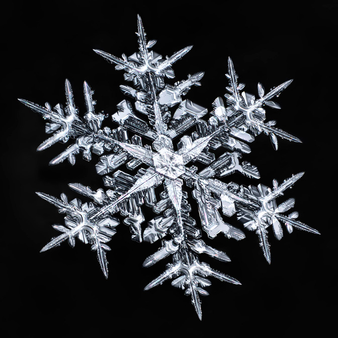 photographing snowflakes