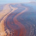 This image shows the surface oil slick from the Deepwater Horizon oil spill. Research, including this latest study, has identified which bacteria were most important in breaking down the oil. Andreas Teske, University of North Carolina Chapel Hill.