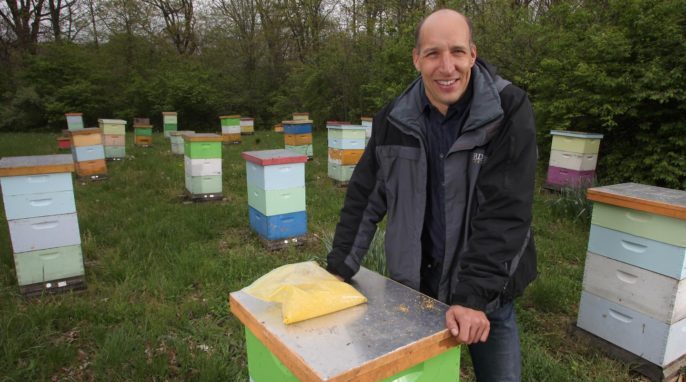 Entomologist Christian Krupke at the Purdue Bee Laboratory with pollen collected by Indiana honeybees. Purdue University/Tom Campbell.