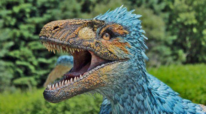 Dromaeosaurus: Dinosaur Brought to Life in Colorful Sculpture