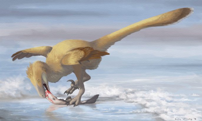 Even the wolf-sized predator Deinonychus may have had fully feathered fingers, perhaps with only the claws protruding. Illustration by the author.
