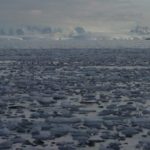 What Happens When Antarctica Melts?