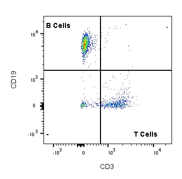 Flow Cytometry Going With the Flow