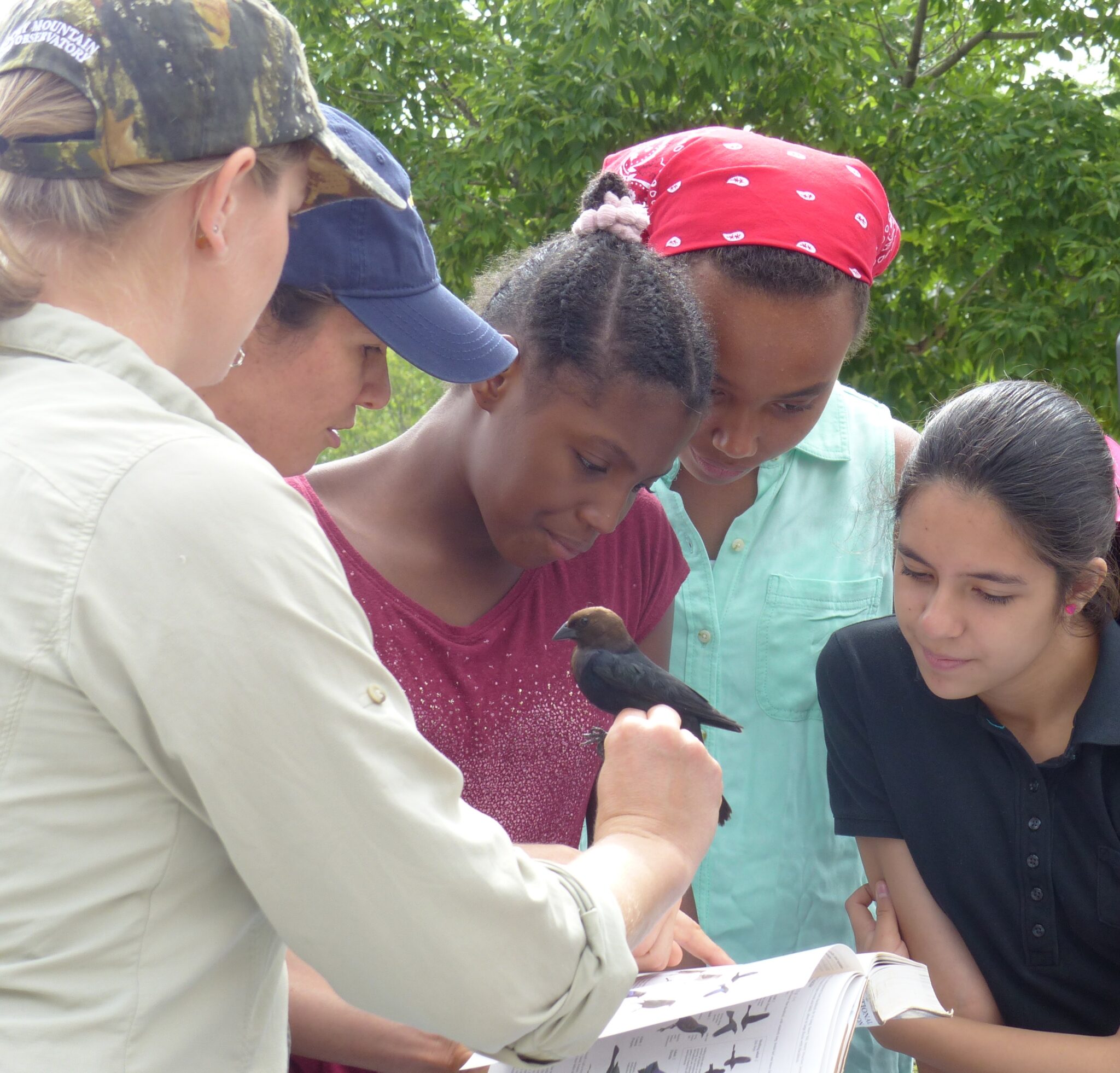 SciGirls in Denver learn about what makes a good urban bird habitat