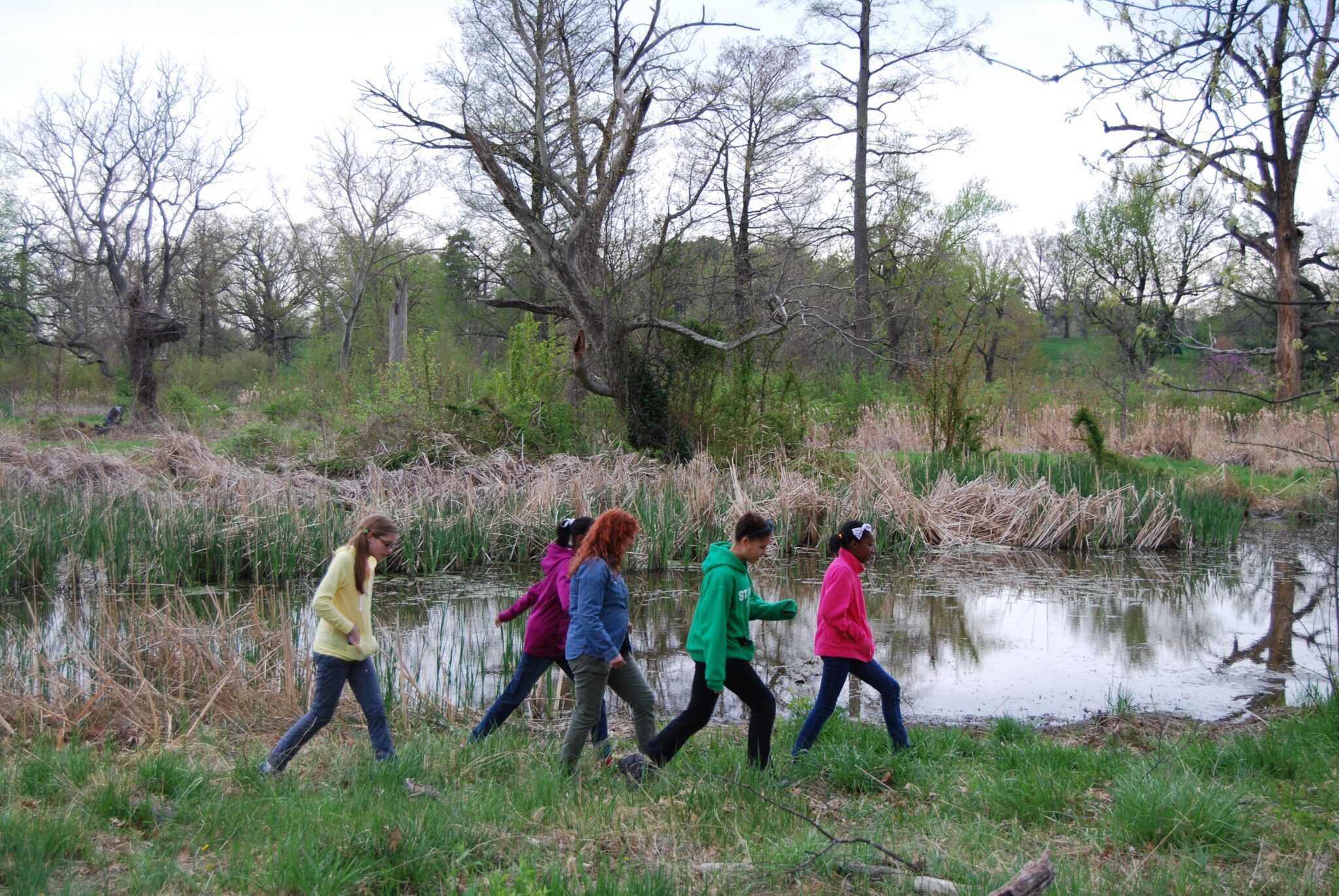 SciGirls shows how to make science accessible, equitable, and engaging