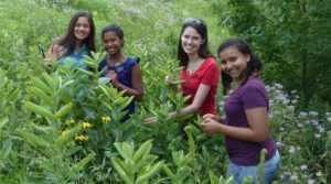citizen science lessons: SciGirls Offers Real STEM Role Models for Young Girls