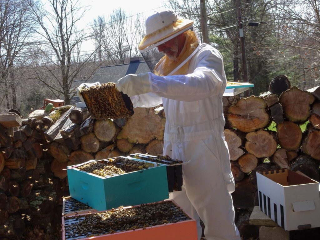 Bee-coming a Beekeeper: An Interview with Andy Zaayenga