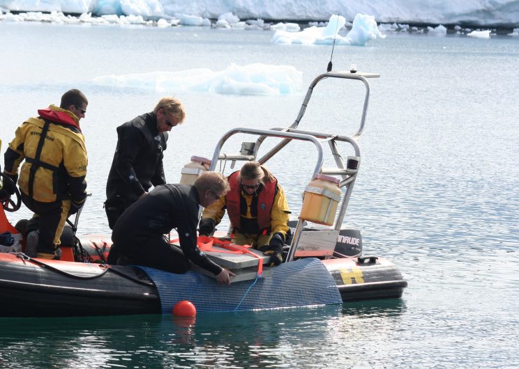 Ocean Floor Warming Affects Antarctic Seabed Life