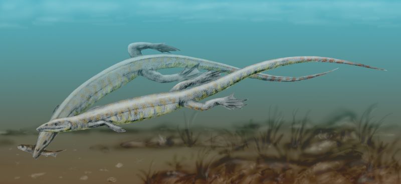 Vadasaurus Fossil Shows a Reptile in Transition