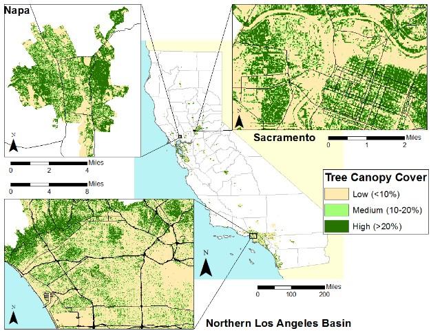 California’s Urban Forests Have Lowest Tree Cover per Resident