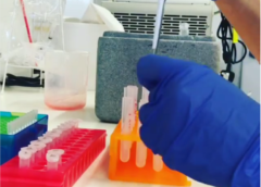 Using Flow Cytometry in Biomedical Science