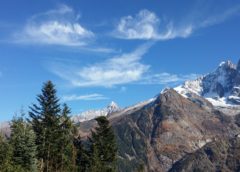 Exploring the Science of Mountain Biodiversity