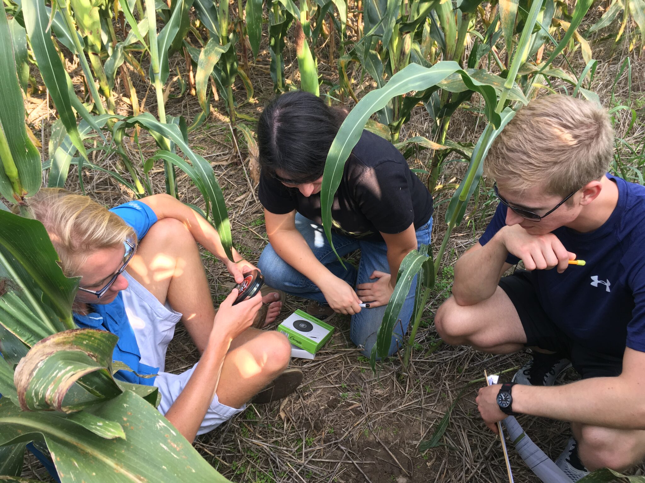 Three youth volunteers in the middle of an agricultural field testing the soil quality using scientific tools as part of the MO Dirt program.