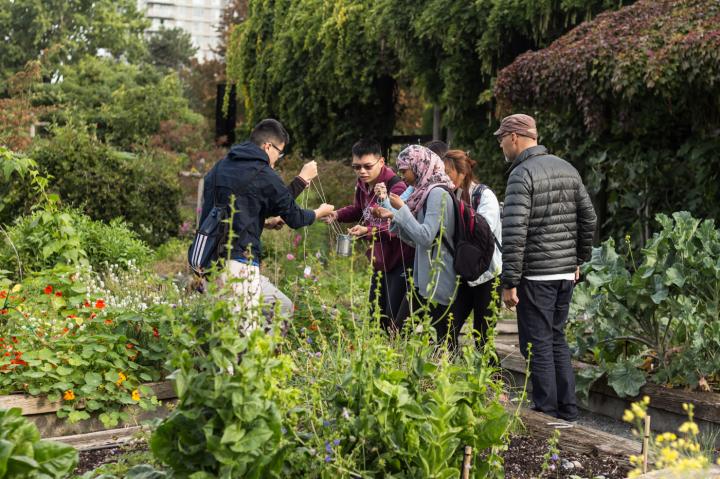 The image depicts various people walking through a garden while a docent points out various plants, combating "plant blindness." Youth learn about water conservation and sustainable food choices in the food garden at University of British Columbia Botanical Garden. Image by Krishnan et al.