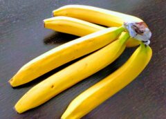 Bananas, Panama Disease, and You