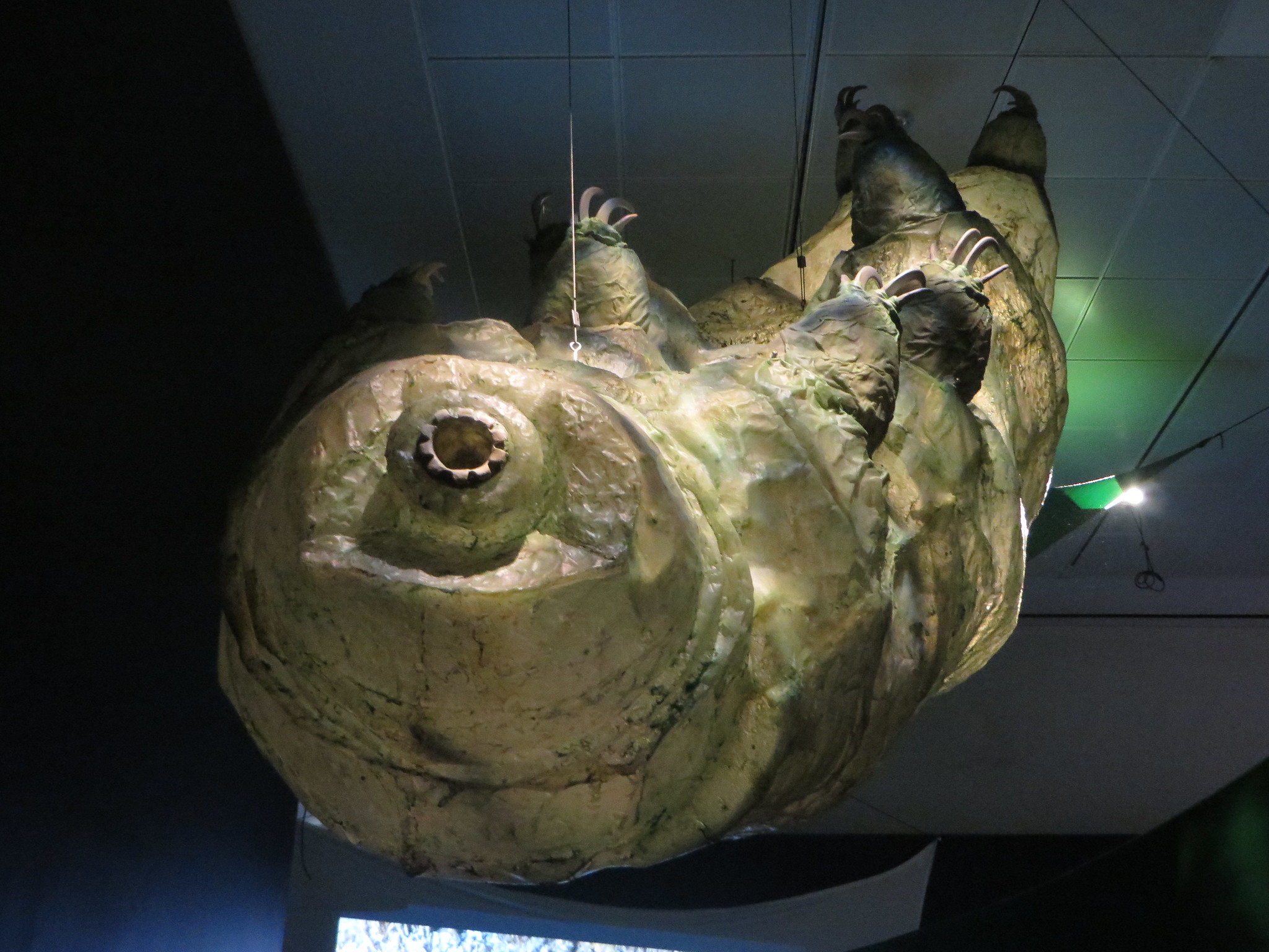 The water bear or moss piglet is a tiny invertebrate that's been around on Earth for more than half a billion years. This is a giant model at the AMNH's "Life at the Limits" exhibit. Photo courtesy of Eden, Janine, and Jim(CC BY 2.0)