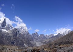 Plants Climb Himalayas as Snow Line Recedes